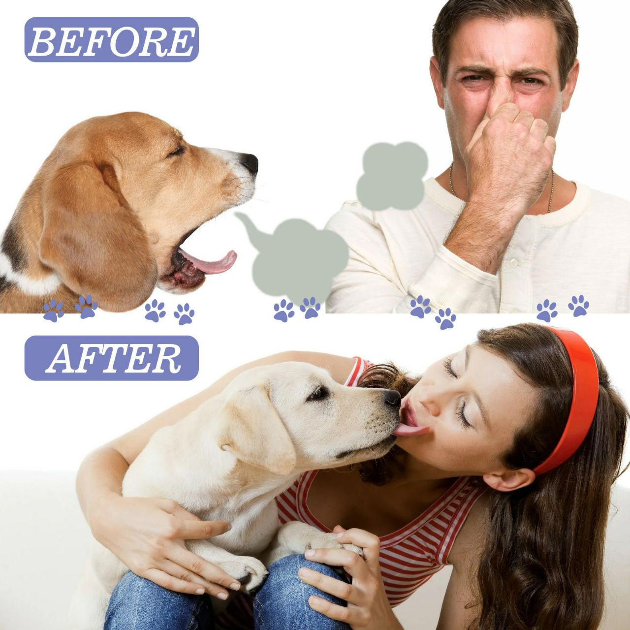 Yegbong Spray nettoyant pour dents pour chats et chiens, élimine les taches de dents et la mauvaise haleine, rafraîchit l'haleine, spray de soin buccal pour animaux de compagnie