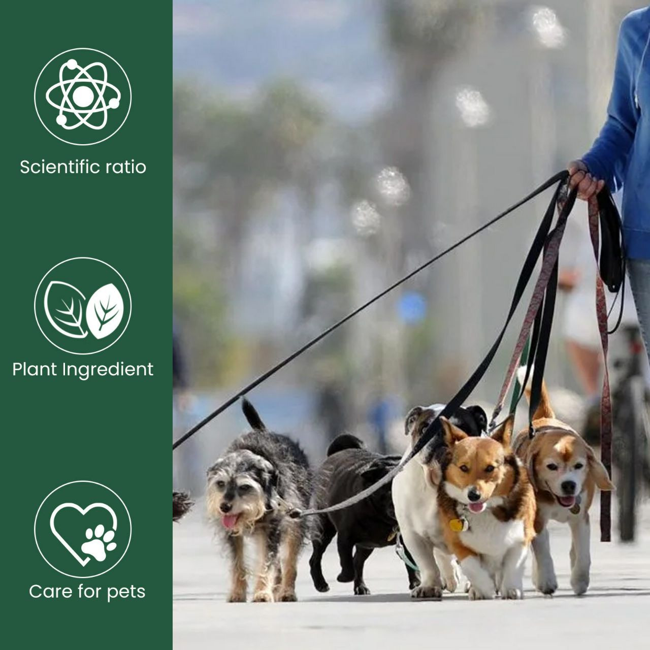 Les gouttes probiotiques Yegbong Pet soulagent l'inconfort physique et la mauvaise haleine chez les chats et les chiens. Solution de soins pour animaux de compagnie